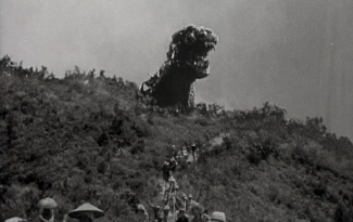 Mount Godzilla